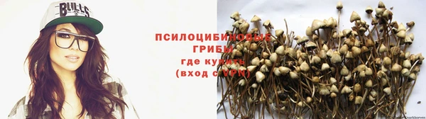 ГАЛЛЮЦИНОГЕННЫЕ ГРИБЫ Абинск