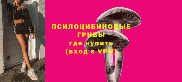 спайс Алзамай