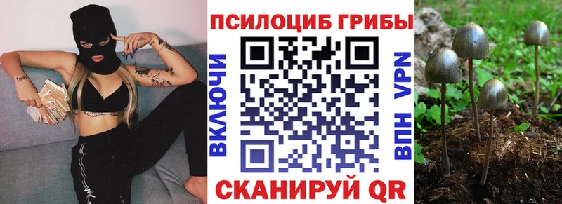 Галлюциногенные грибы Psilocybine cubensis Кяхта